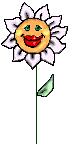 Solskinsblomst