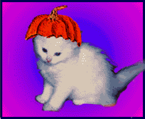 kat med hatte (41KB)